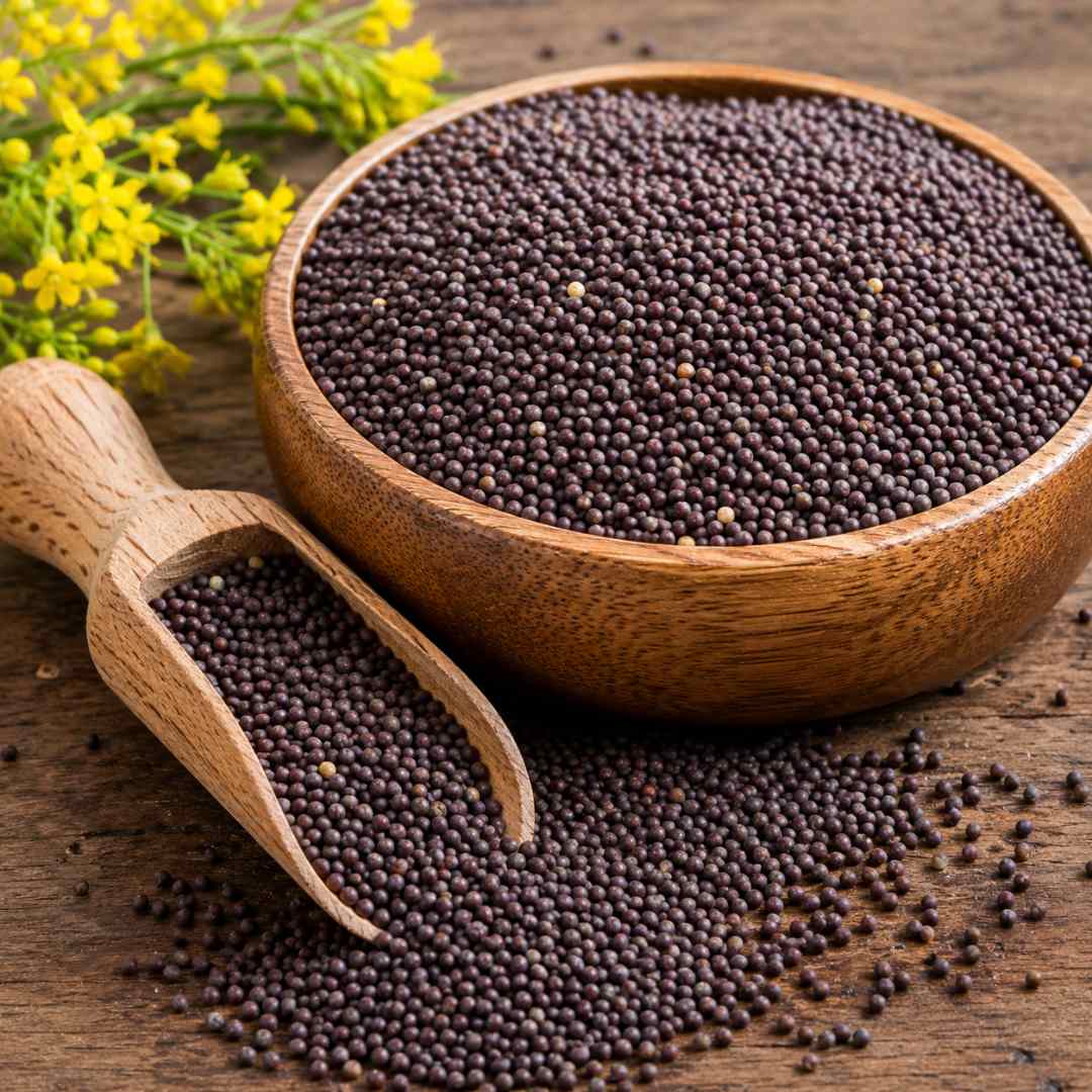 Mustard Seeds wholesale supplier in Imphal - MLD Agrotech Mustard Seeds wholesale supplier in Imphal - MLD Agrotech